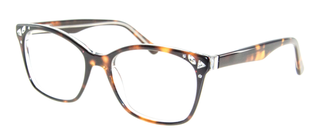 9247 Tortoise