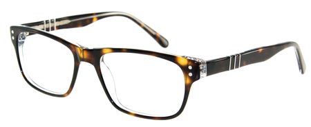 9246 Tortoise