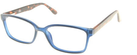 5021 Blue Tortoise