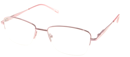 5024 Rose