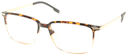 6011 Tortoise Fade