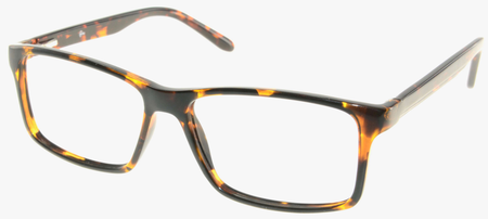 6016 Tortoise