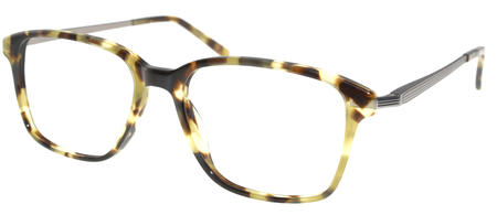 9269 Tortoise